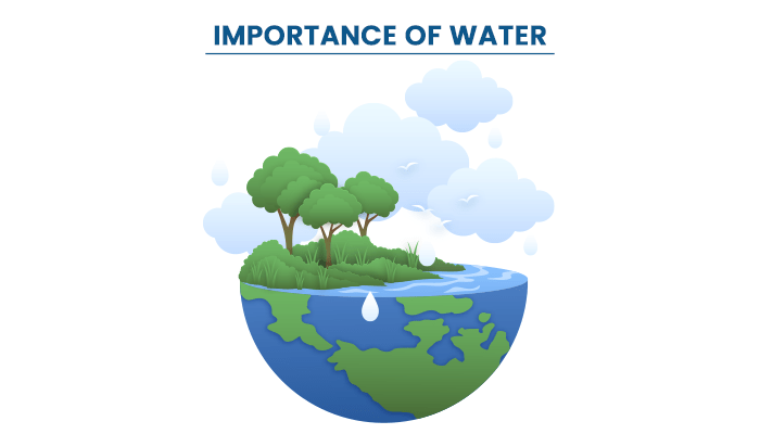 Importance and necessity of water in life
