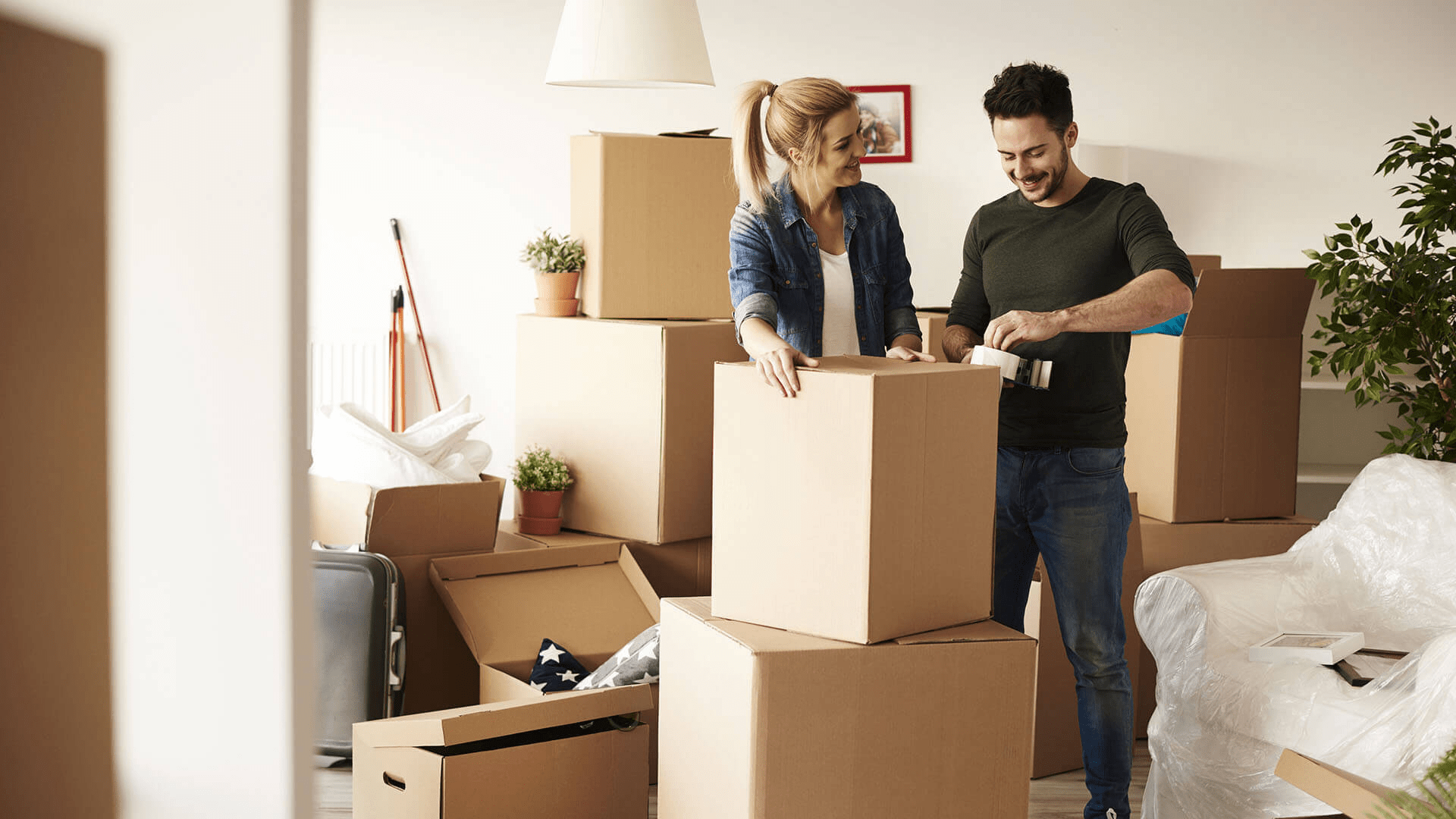 Choosing the right van for your move