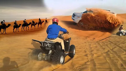Dunes, Delights, and Dinners: Unveiling the Magic of a Dubai Desert Safari