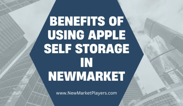 Using Apple Self Storage In Newmarket