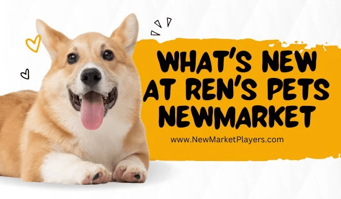 What’s New At Ren Pets Newmarket