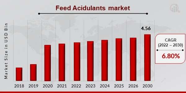 North America   Feed Acidulants  Market Size Competitors, Growth  By ( 2024 -2032 )
