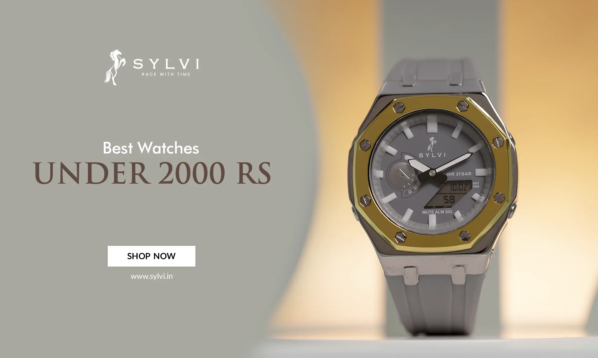 Best Watch Under 2000 For Men & Women – Sylvi Watches