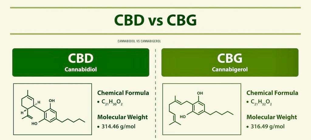 Difference Between CBD and CBG: A Comprehensive Guide