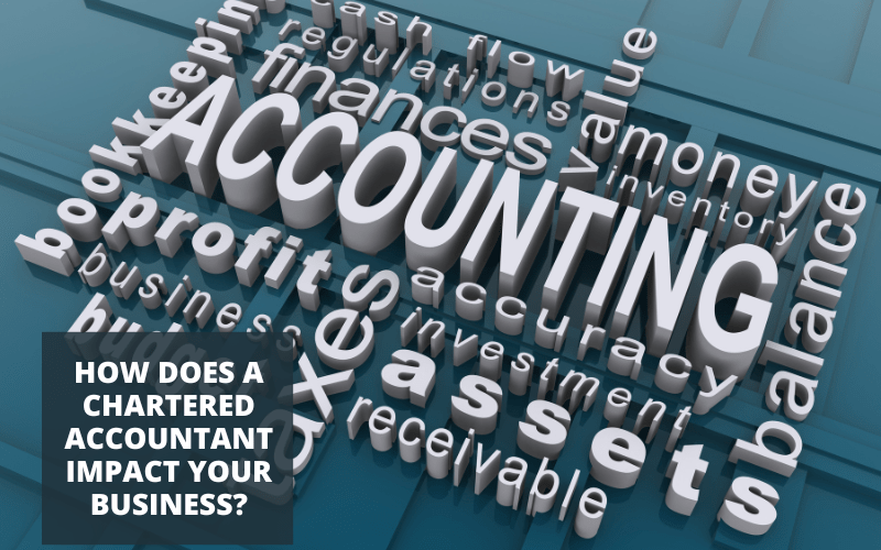 How Does a Chartered Accountant Impact Your Business?