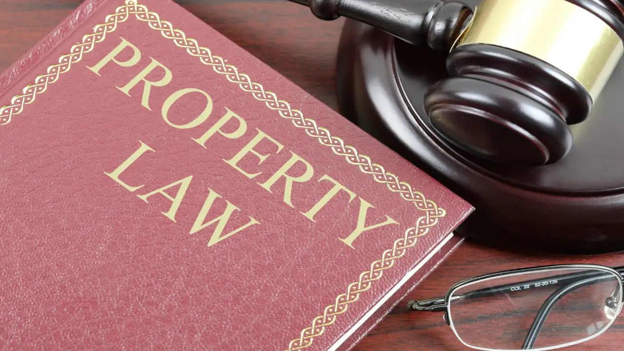 Role of property lawyer in releasing the industrial property from government bans