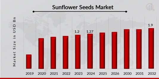 “Sunflower Seeds Market Dynamics: Analyzing Trends and Future Growth”