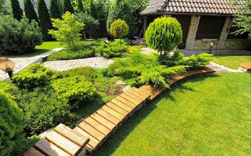 Finding the Best Landscape Companies Timnath: A Guide to Top Landscaping Services