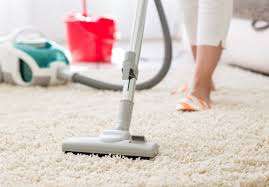 The Importance of Carpet Cleaning for a Healthy Home