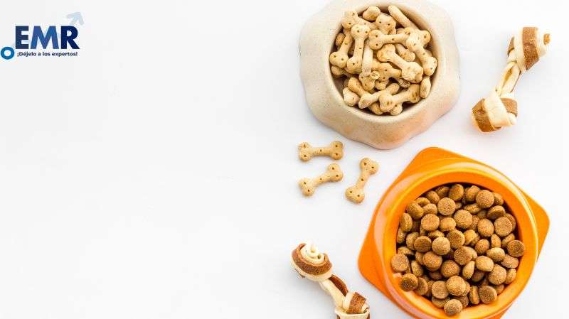 El Crecimiento del Mercado de Alimentos para Mascotas: Tendencias y Perspectivas Futuras