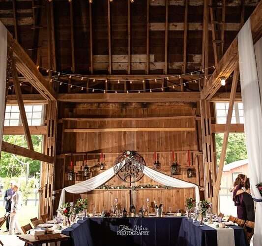 Why Should You Choose Rustic Wedding Venues in Michigan?