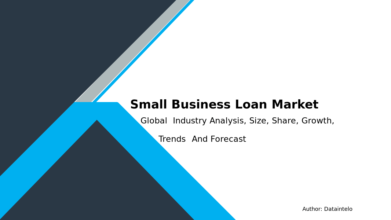 The Future of Small Business Loans: A Market Report and 2032 Forecast by Dataintelo