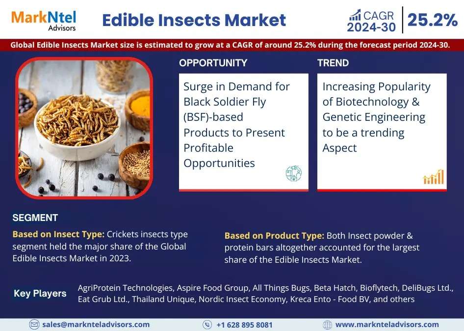 Edible Insects Market Research Report – Industry Size, Growth, Share, Demand, Market Outlook 2030