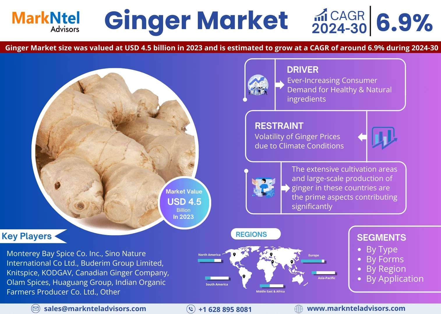 Ginger Market Reaches USD 4.5 Billion in 2023, on Track for 6.9% CAGR by 2030