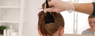 Organic and Natural Hair Dye Market Overview, Size, Share, Trend, Industry, Report,