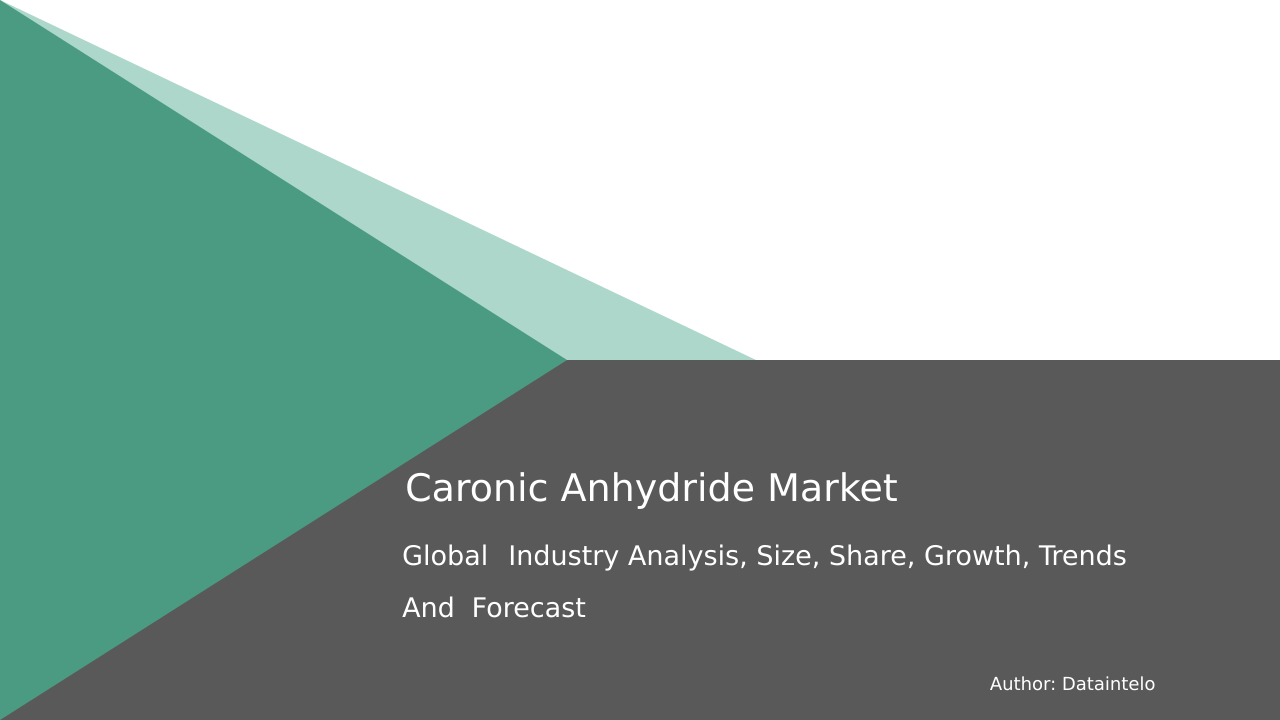 2032 Caronic Anhydride Market | Size, Share & Forecast Report