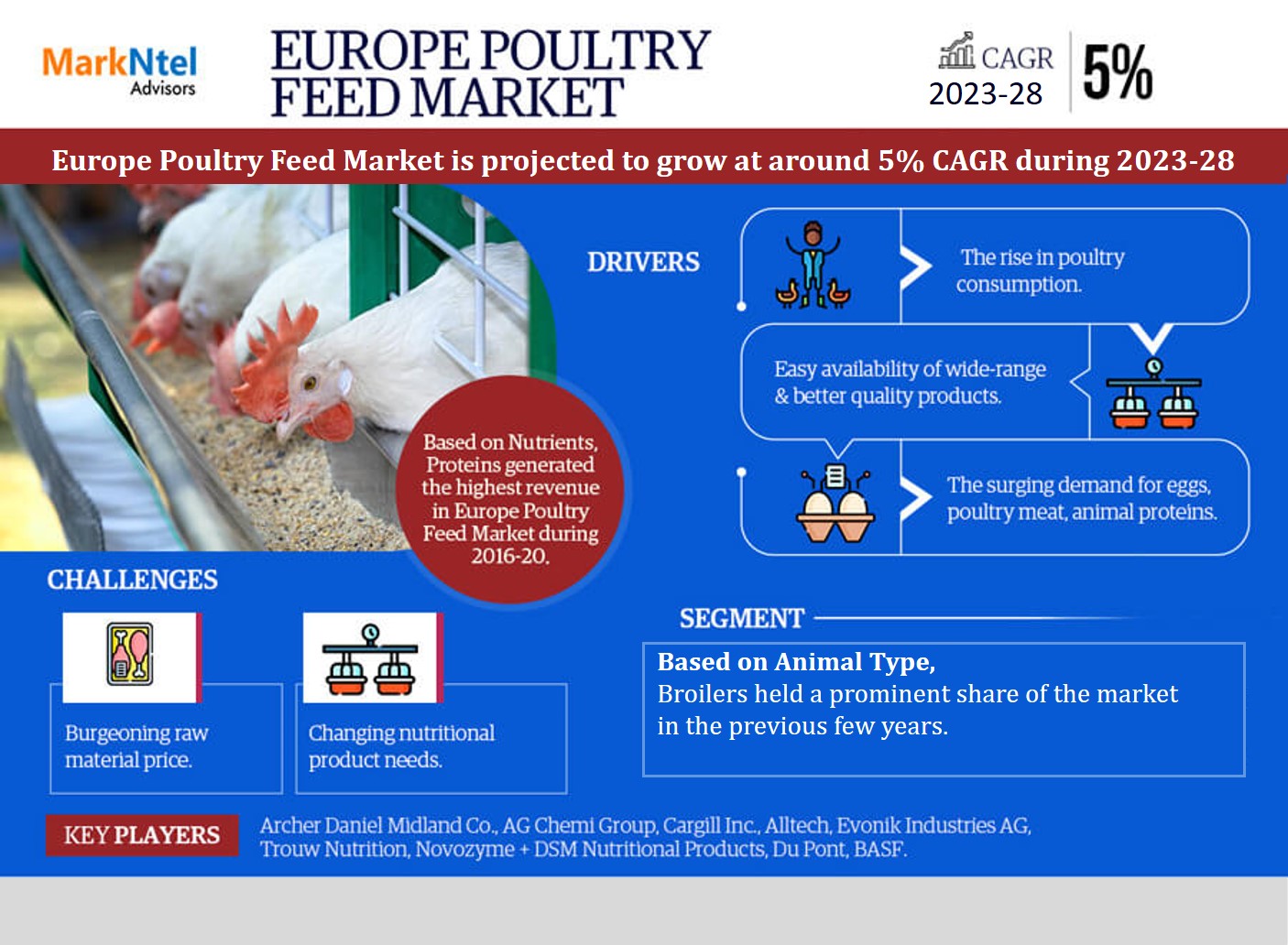 Europe Poultry Feed Market Expanding at a CAGR of 5% during 2023-2028