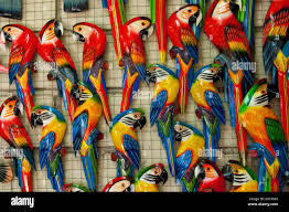 A Complete Guide to Finding Macaws for Sale by Owner and Near You