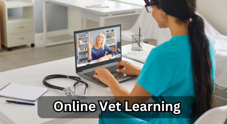 A Brief Guide to Online Vet Learning: Important Facts to Learn