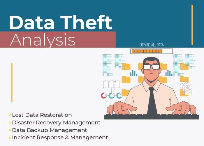 Data Theft Analysis: Tracking Digital Crime