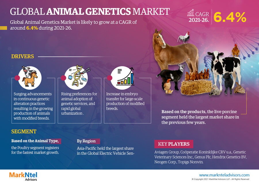 MarkNtel Advisors Insights:  Animal Genetics market to Grow 6.4% CAGR from 2021-2026