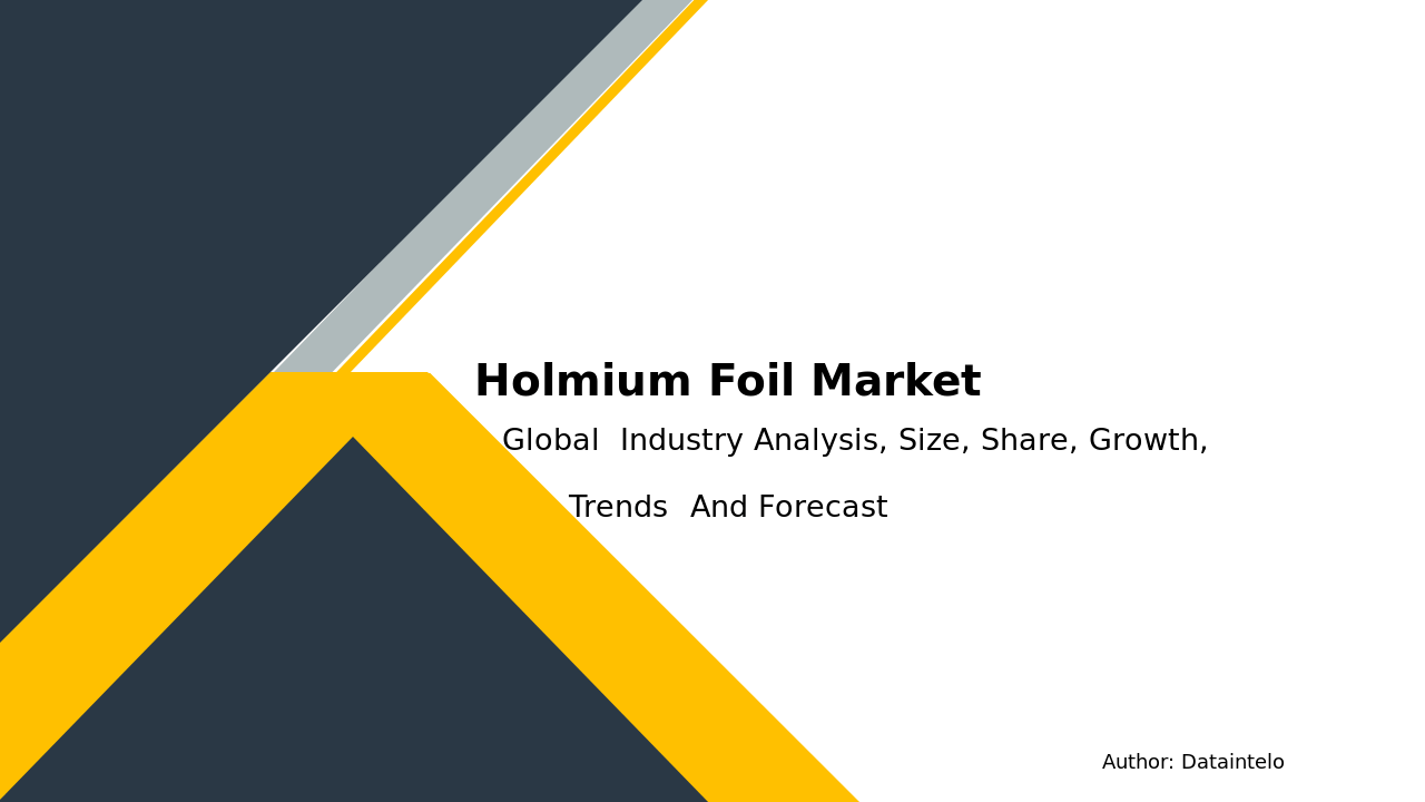 Key Opportunities in the Holmium Foil Market till 2032