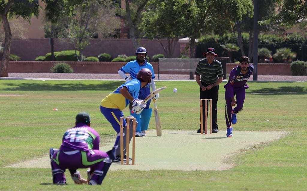 Cricket in America: The Journey from Grassroots to Professional Leagues