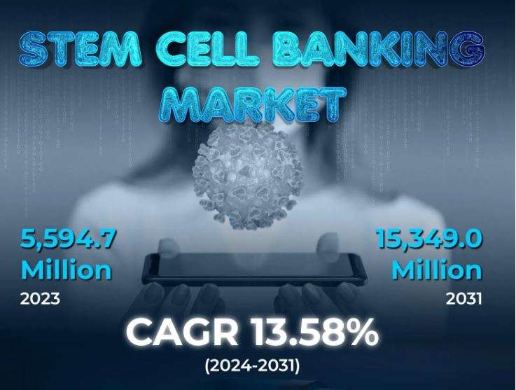 Stem Cell Banking Market worth USD 15,349.0 million by 2031| KR