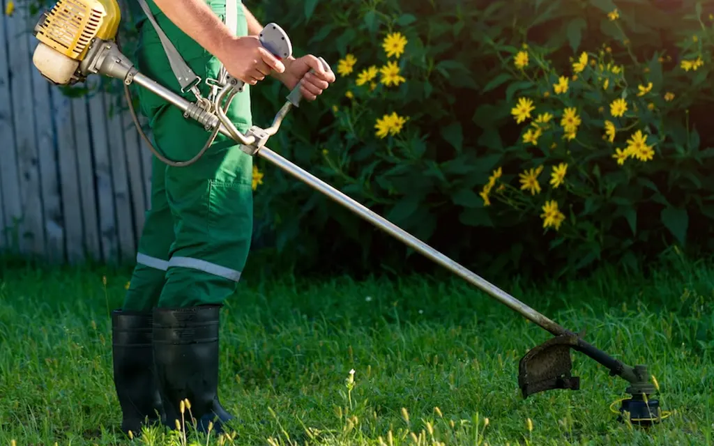 What makes a gardening service stand out in quality?