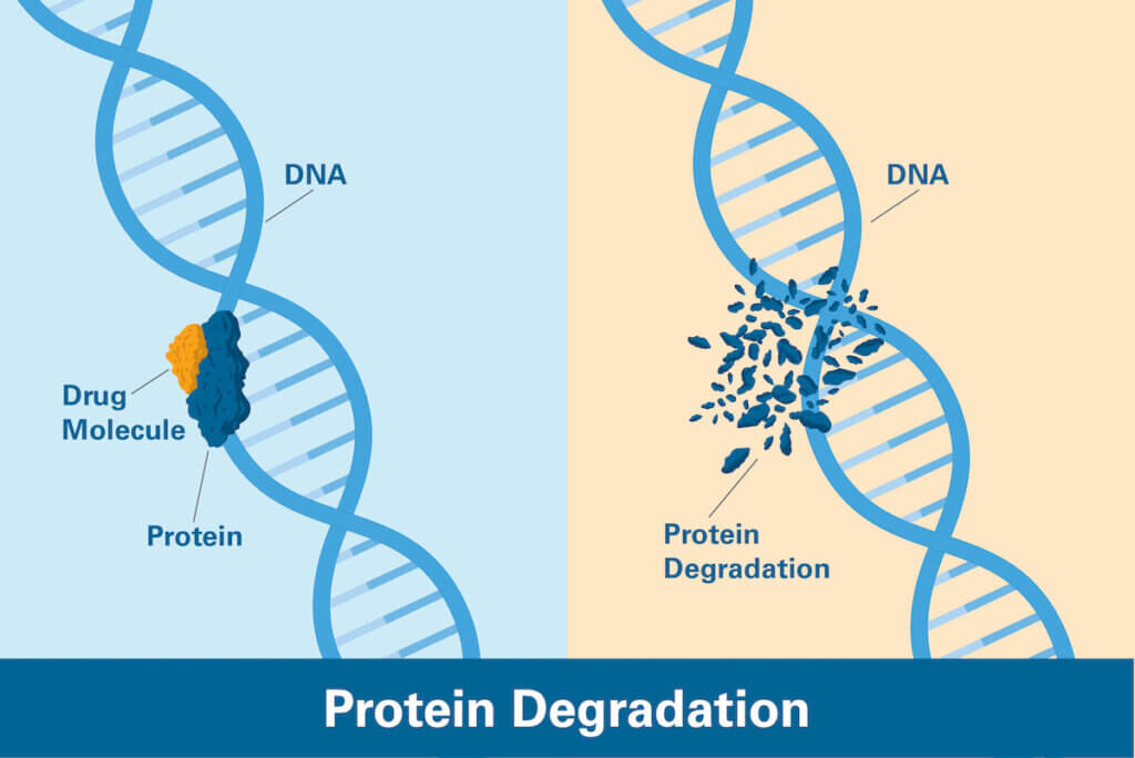 Key Players in the Targeted Protein Degradation Market: A Deep Dive into Pharmaceutical and Biotech Companies