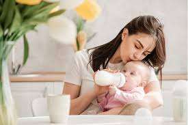 Baby Feeding Support: A Guide for Parents